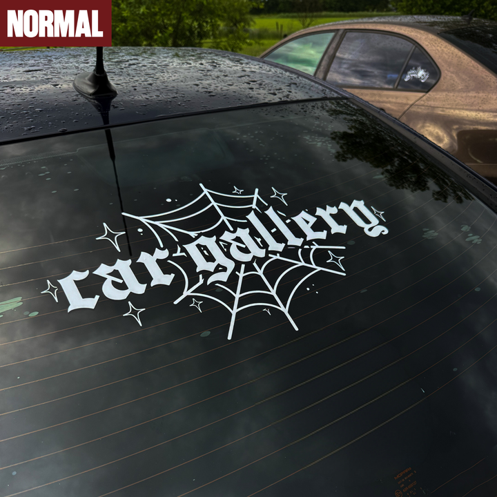 Spiderweb Window Banner
