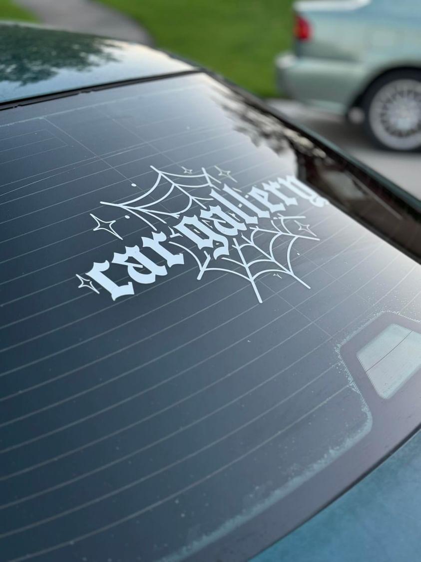 Spiderweb Banner