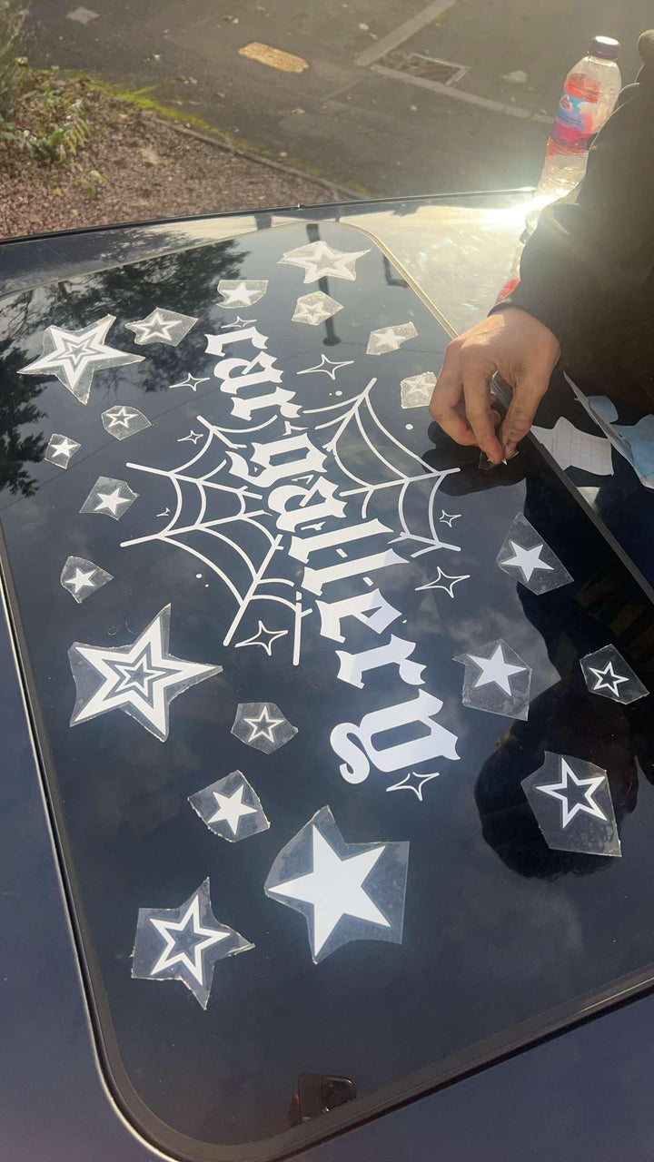 Spiderweb Banner