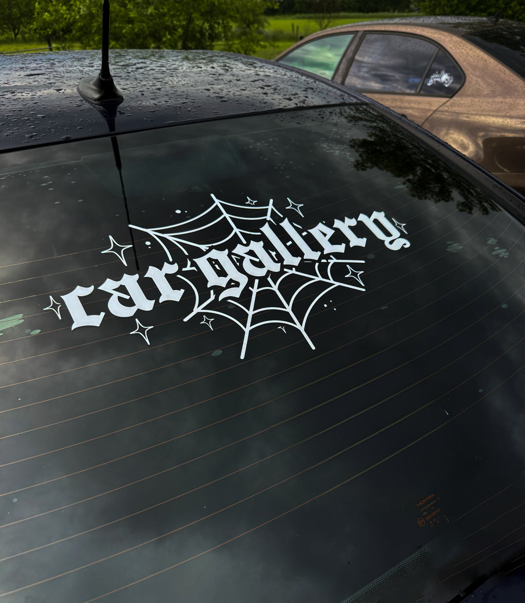 Spiderweb Banner