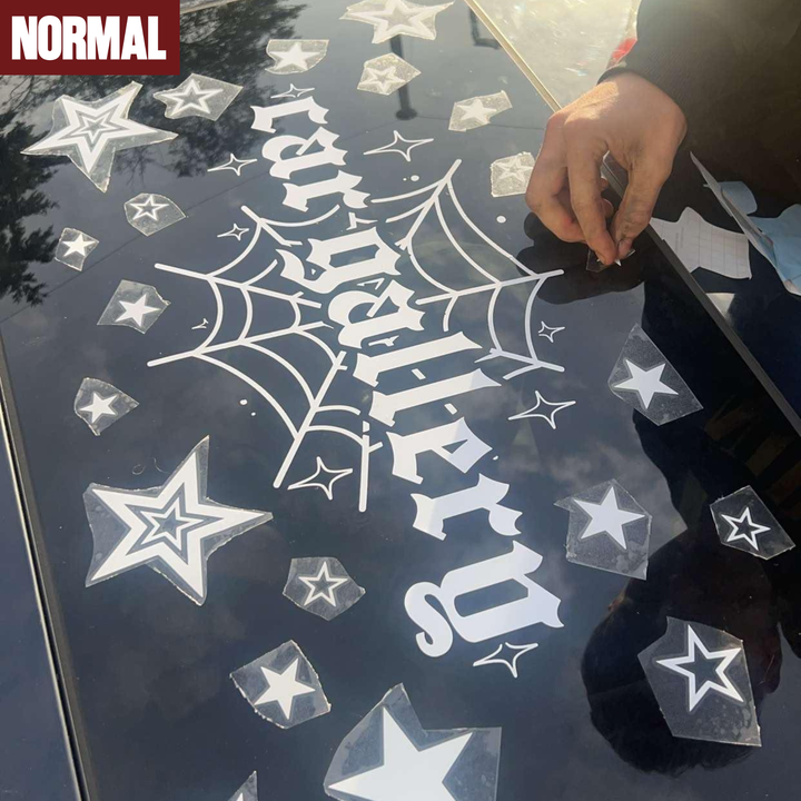 Spiderweb Window Banner